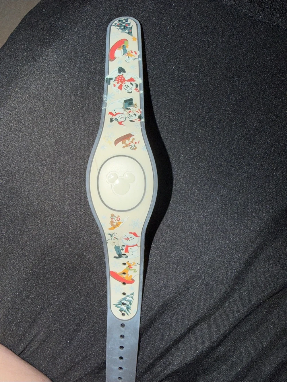 Cute Disney Holiday MagicBand